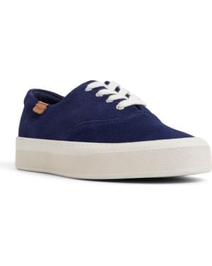 Sperry Top-Sider Candy Cvo Platform Sneaker - Blue