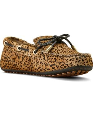Ariat Margot Genuine Calf Hair Driving Shoe - Brown