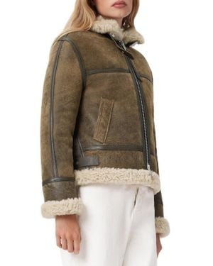 AllSaints Lorel Leather & Genuine Shearling Flying Jacket - Brown