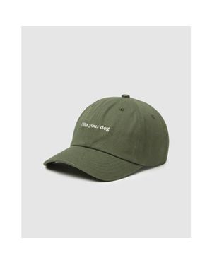 Tentree Slogan Peak Hat - Green
