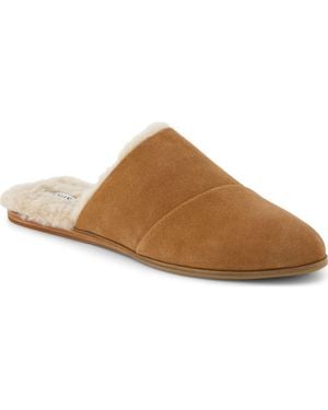 TOMS Jade Mule - Brown