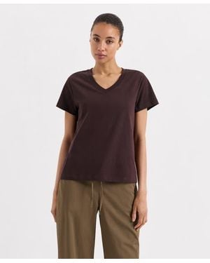 Pact Organic Cotton Softspun Essential V-Neck Tee - Brown