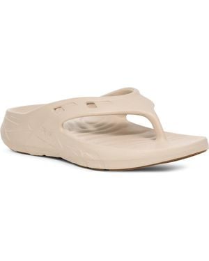 Teva Apretrail Flip Flop - White