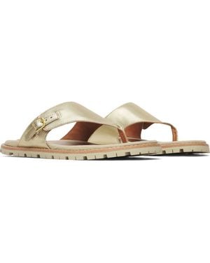 Merrell Haven Sandal - Brown