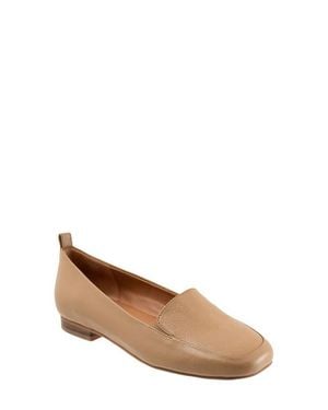 Softwalk Kingston Flat - Brown