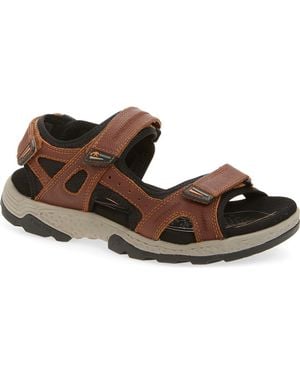 Fluchos Missouri Sandal - Brown