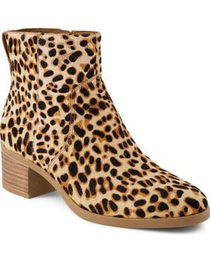 TOMS Delilah Western Boot - Brown