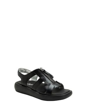 Alegria By Pg Lite Palmer Sandal - Black