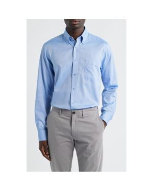 Eagle Regular Fit Cotton Button-Down Oxford Shirt - Blue