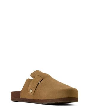 Ariat Country Mule - Brown