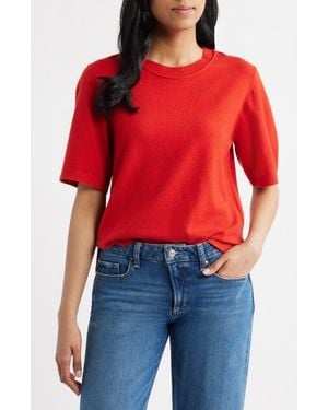 Sanctuary Perfect Tipped Short Sleeve Sweater - Red