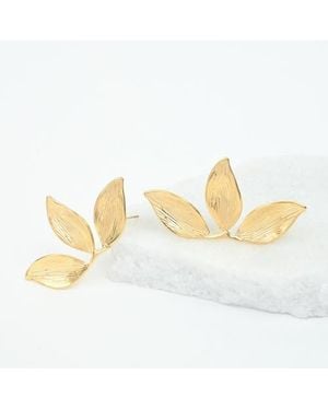 Starfish Project Golden Canopy Earrings - Metallic