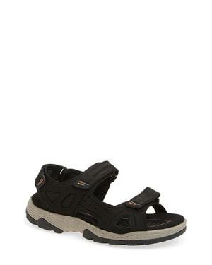 Fluchos Missouri Sandal - Black