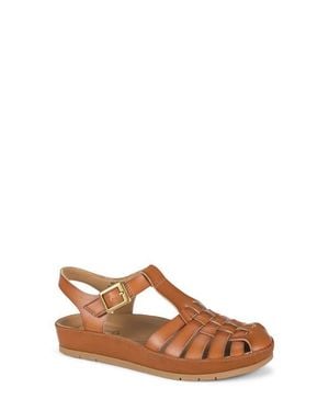 BareTraps Welsy Fisherman Sandal - Brown