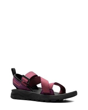 Forsake Rouge Sandal - Multicolor