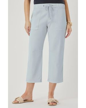 Splendid Regina Crop Pants - Blue