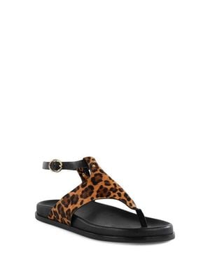 Seychelles The Zone Ankle Strap Platform Sandal - Multicolor