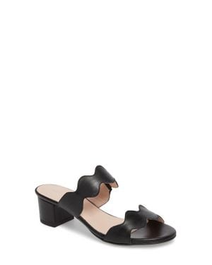 Patricia Green Palm Beach Slide Sandal - Black
