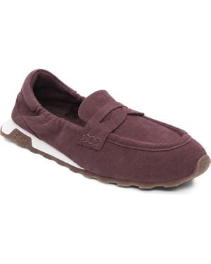 Ash Kriss Loafer Slip-On Sneaker - Purple