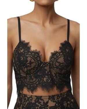 JLUXLABEL Forever Crush Lace Top - Black