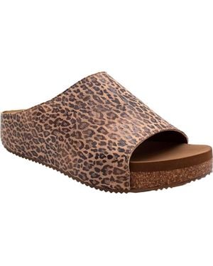 Volatile Wren Platform Sandal - Brown
