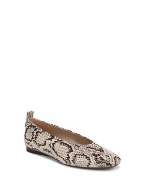 27 EDIT Naturalizer Carla Flat - Multicolor
