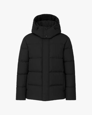 Quartz Co. Paige - Black