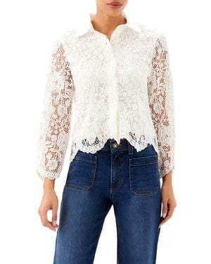 Karen Kane Lace Jacket - Blue
