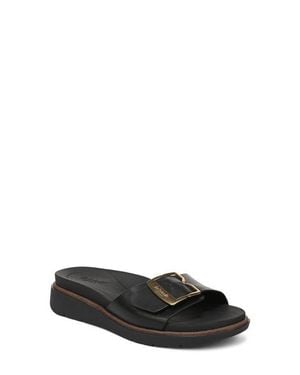 Dr. Scholls Paradis Buckle Slide Sandal - Black