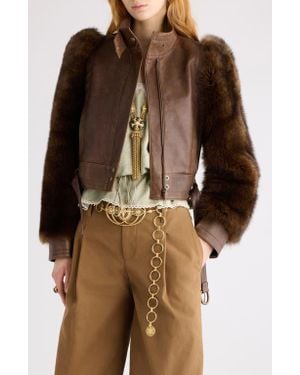 Chloé Leather & Genuine Shearling Moto Jacket - Brown