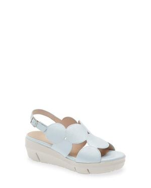 Wonders Platform Sandal - White