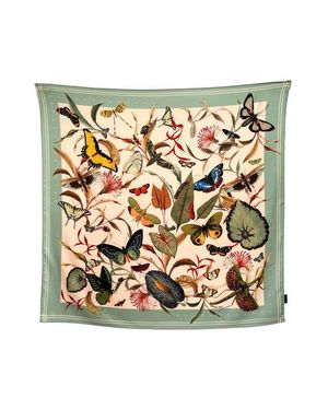 Muzaluci Scarf Aqua Butterfly - Multicolor