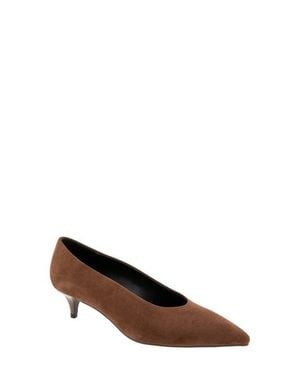 BCBGMAXAZRIA Pacsin Pointed Toe Kitten Heel Pump - Brown