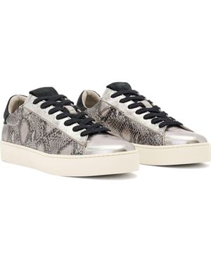 AllSaints Shana Metallic Sneaker - Gray