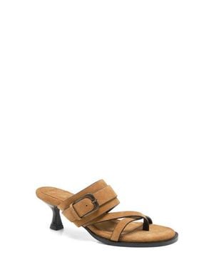 Free People Belted Toe Loop Sandal - Multicolor