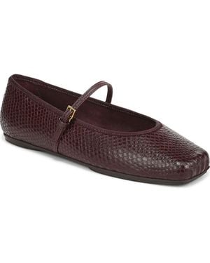Franco Sarto Oriel Ballet Flat - Brown
