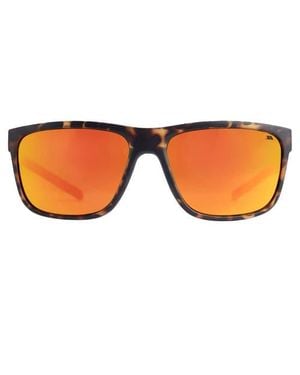 Trespass Brinley Sunglasses - Brown