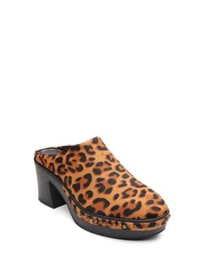 Sanctuary Emersyn Genuine Calf Hair Clog - Brown