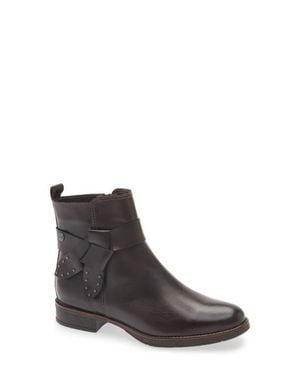 BOTTER Chelsea Boot - Brown