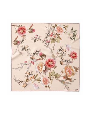 Elizabetta Carina - Pink