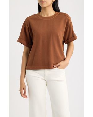 City Blues Brie Boxy Short Sleeve Sweatshirt - Brown