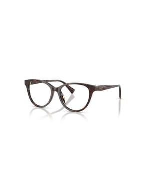 Ralph 53Mm Butterfly Optical Glasses - Brown
