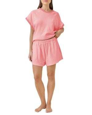 Papinelle Most Wanted Cotton Blend Top - Pink