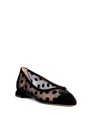 Beautiisoles Blake Pointed Cap Toe Flat - Black