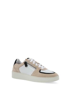 Naot Newbury Sneaker - White