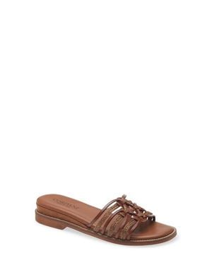Cordani Hollace Leather & Raffia Slide Sandal - Brown