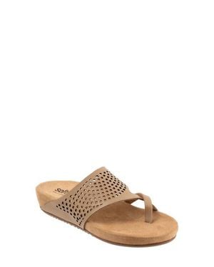 Softwalk Blaine Slide Sandal - Brown