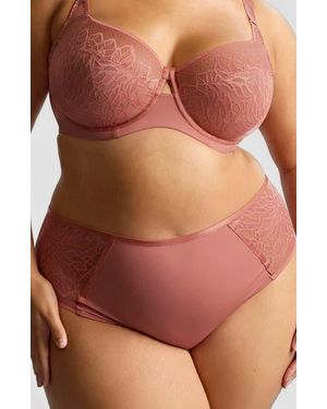 Panache Sophia Lace Cheeky Briefs - Brown