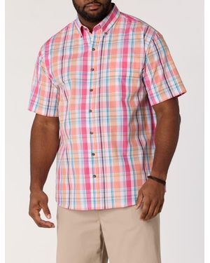 Harbor Bay by DXL Big & Tall Easy-Care Medium Plaid Sport Shirt V7 - Pink