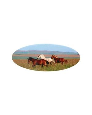CHUNKS Horse Girl Oval Barrette - Blue